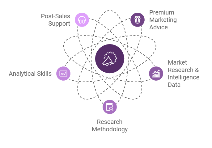 SPER Market Research's Service Overview